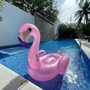 Oasis 12 , Playa del Carmen México
